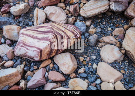 Les pierres de couleur dans le fond d'un lavage à sec, pin, Red Rock Canyon Canyons Conservation Area, Nevada, USA Banque D'Images