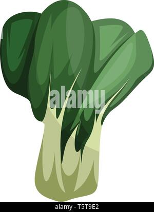 Les verts asiatiques vector illustration de légumes sur fond blanc. Illustration de Vecteur