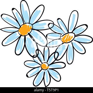 Fleurs de camomille blanc vector illustration sur fond blanc. Illustration de Vecteur