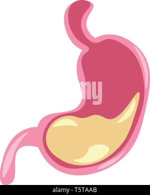 De Clipart organe interne de l'estomac avec de la nourriture à l'intérieur de couleur ou de dessin vectoriel illustration Illustration de Vecteur