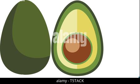 La moitié couper l'avocat/avocat Superfood vecteur ou illustration couleur Illustration de Vecteur