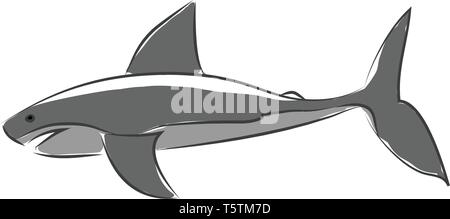 Simple caricature d'un requin gris de vector illustration sur fond blanc Illustration de Vecteur