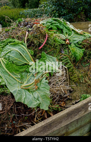 Déchets de jardin pourrissant dans un bac à compost en bois. Banque D'Images