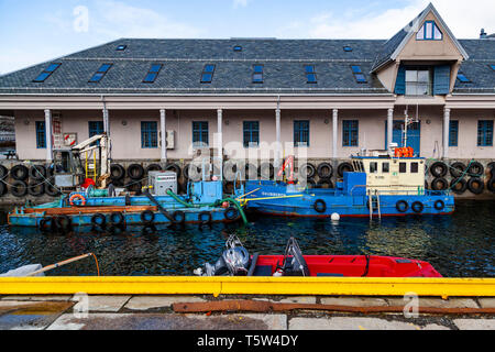 Bateaux de service et barge pousseur et Skubberen la drague et le service Tollbodkaien péniche amarrée à quai, Bergen, Norvège. Banque D'Images