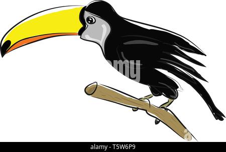 Un oiseau noir avec un long bec jaune, Scénario, dessin en couleur ou d'illustration. Illustration de Vecteur