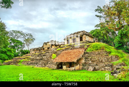 Ruines de Palenque au Chiapas, Mexique Banque D'Images