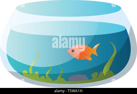 Aquarium avec un poisson rouge ronde vector illustration sur fond blanc Illustration de Vecteur