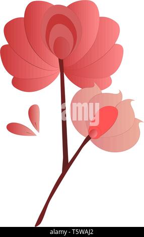 Une fleur branche avec deux fleurs en rose petals vector dessin en couleur ou d'illustration. Illustration de Vecteur