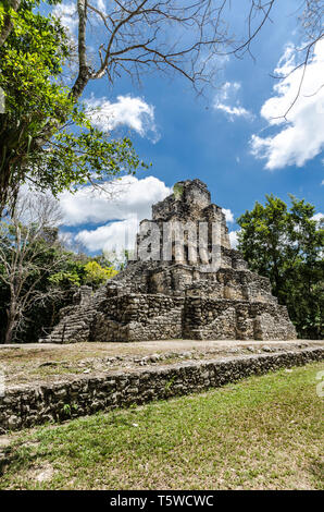 Ville maya de Muyil, situé dans la région de Quintana Roo, Mexique Banque D'Images