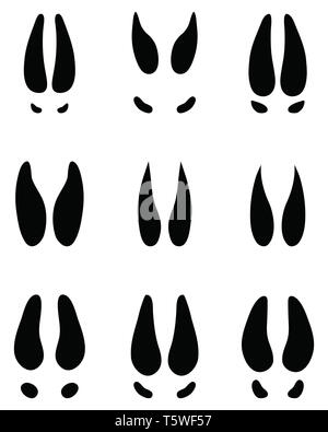 Empreintes de cerfs noirs sur fond blanc Banque D'Images