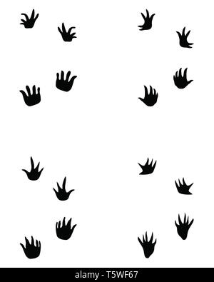 Traces de noir sur fond blanc crocodile Banque D'Images