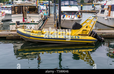 VICTORIA, Colombie-Britannique - le 21 mai 2016 : Victoria est la capitale de la province canadienne de la Colombie-Britannique, situé sur la pointe sud de V Banque D'Images