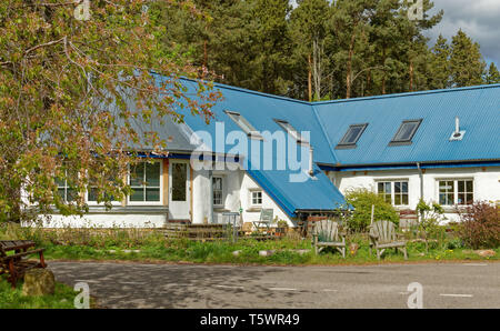 Fondation FINDHORN COMMUNAUTÉ ECO ECO HOUSE GRAND coloré bleu avec toit et murs blancs construits avec des bottes de paille Banque D'Images