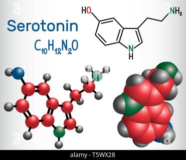 La Sérotonine est une molécule, un neurotransmetteur de monoamine. Formule chimique structurale et molécule modèle. Vector illustration Illustration de Vecteur