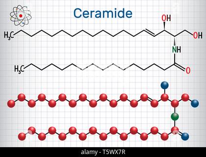 Molécule de céramide, est composé de la sphingosine et d'un acide gras. Feuille de papier dans une cage. Formule chimique structurels. Vector illustration Illustration de Vecteur