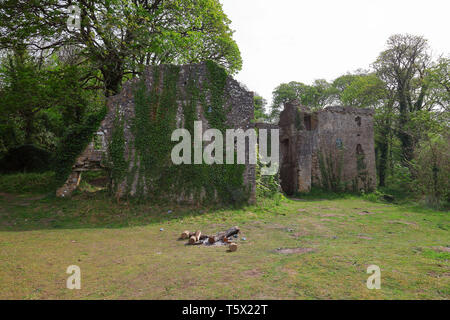 Ruines du château de Candleston dans au milieu des dunes de sable de Merthyr Mawr près de Bridgend, l'un des deux ruines de château dans la région que protéger la rivière Ogmore. Banque D'Images