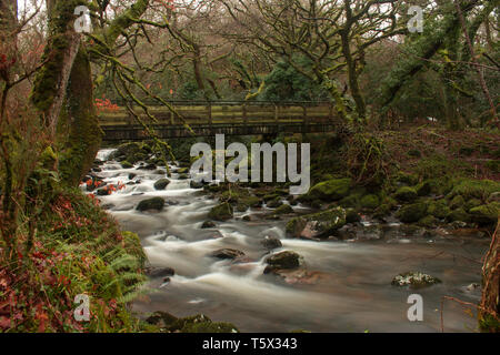 Slow motion sur la rivière de rochers moussus dans le Dartmoor, UK Banque D'Images