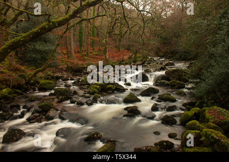 Slow motion sur la rivière de rochers moussus dans le Dartmoor, UK Banque D'Images