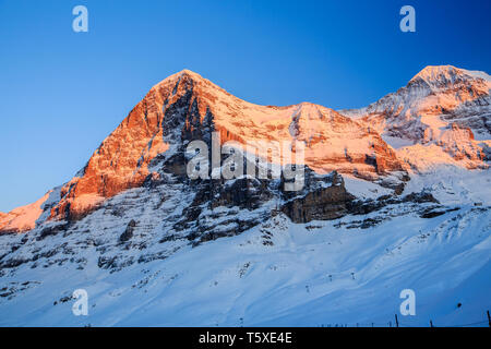 Alpenglow sur la face nord de l'Eiger en hiver. Kleine Scheidegg, Oberland Bernois, Suisse (Suisse) Banque D'Images