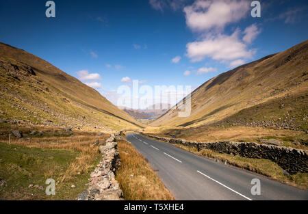 La puce dans le Parc National du Lake District, Cumbria England UK Banque D'Images