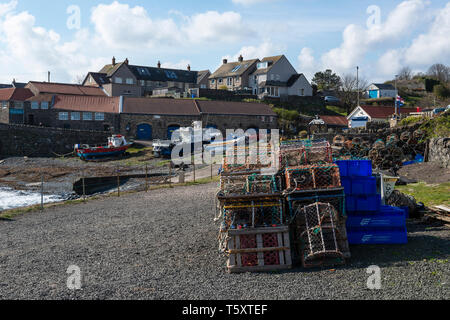 Des casiers à homard à Craster Harbour sur la côte de Northumberland, Craster Village, England, UK Banque D'Images