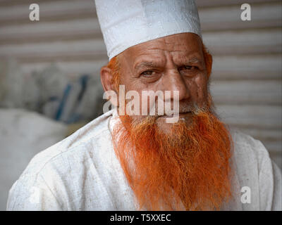 Les Indiens musulmans âgés Rajasthani avec taylor teint à l'henné et barbe islamique de prière islamique blanc chapeau (taqiyah) pose pour la caméra. Banque D'Images