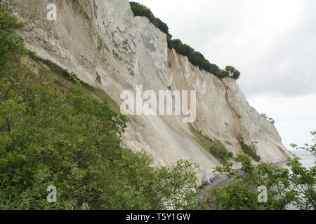 Møn. Juin-12-2017. Møns falaises de craie sur l'île de Møn. Danemark Banque D'Images