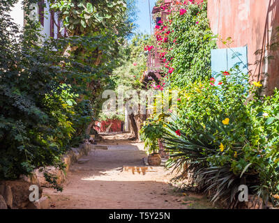 Gorée, Sénégal- 2 février 2019 : rouge, chemin de sable entre les maisons avec plein de fleurs colorées sur l'île de Gorée. Gorée. Dakar, Sénégal. Afric Banque D'Images