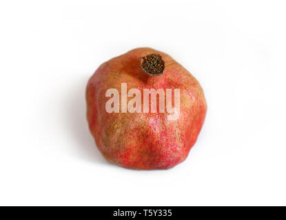 Grenade à sec sur fond blanc Banque D'Images