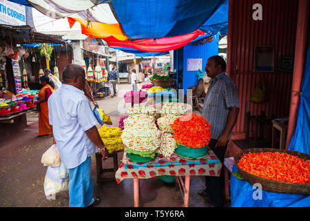 MYSORE, INDE - Le 26 mars 2012 : Offres de fleurs sur le marché local en Inde Banque D'Images