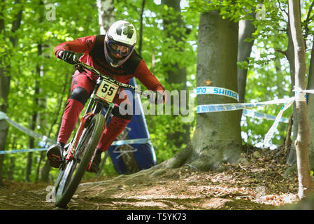 Henry Fitzgerald du Canada s'est vu en action pendant la descente à la formation officielle Coupe du Monde de vélo de montagne UCI. Banque D'Images