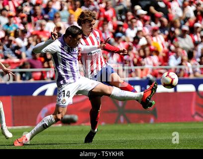 Madrid, Espagne. Apr 27, 2019. L'Atletico de Madrid Antoine Griezmann (R) et Valladolid Ruben Alcaraz rivalisent pour la balle lors d'un match de football ligue espagnole entre l'Atletico de Madrid et Valladolid à Madrid, Espagne, le 27 avril 2019. L'Atletico Madrid a gagné 1-0. Crédit : Edward F. Peters/Xinhua/Alamy Live News Banque D'Images