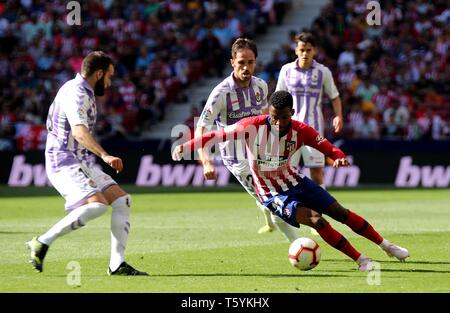 Madrid, Espagne. Apr 27, 2019. L'Atletico de Madrid Thomas Lemar (R) avant contrôle le ballon pendant un match de football ligue espagnole entre l'Atletico de Madrid et Valladolid à Madrid, Espagne, le 27 avril 2019. L'Atletico Madrid a gagné 1-0. Crédit : Edward F. Peters/Xinhua/Alamy Live News Banque D'Images