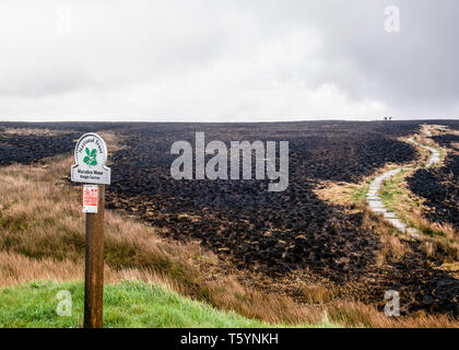 Un chemin de randonnée traverse un paysage qui a été une fois wild heather et est maintenant ash après les feux se propagent à travers le pays. Banque D'Images