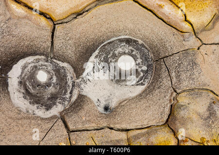 Volcan de boue ou de boue Dome au sol de Ma-ana (soleil du matin) les geysers à Uyuni, Bolivie Banque D'Images