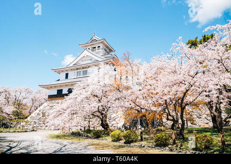 Château de Nagahama avec fleurs de cerisier de Shiga, Japon Banque D'Images