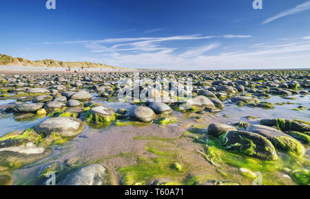 Plage de galets à marée basse dans la région de scenic Ynyslas Beach au Pays de Galles.UK Banque D'Images