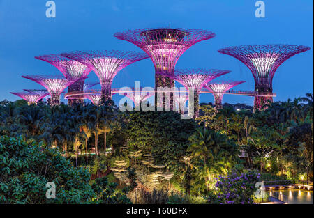 L'offre Super arbres à jardins au bord de la bay, Singapour. Banque D'Images