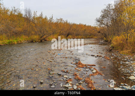 L'eau chaude dans Malkinskiye Hot Springs. Rivière et forêt en automne couleur, péninsule Kamchatka, en Russie. Banque D'Images