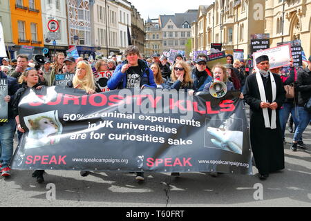 Un grand nombre de militants des droits des animaux se réunissent à Oxford pour protester contre la vivisection d'animaux. Banque D'Images