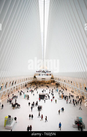 World trade center Westfield Shopping mall dans le quartier financier, New York Banque D'Images