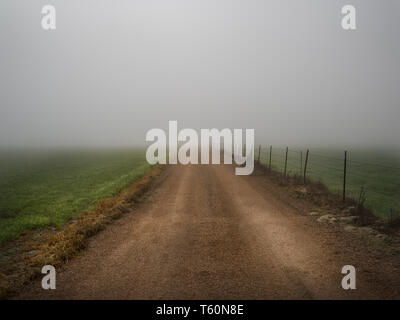 Le brouillard recouvre un chemin de terre dans une zone rurale près de champs pendant les premières heures du matin, le brouillard de thulé Banque D'Images