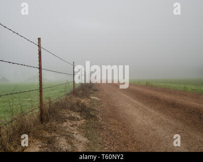 La route poussiéreuse longe une clôture de fil barbelé dans un paysage brumeux à l'aube dans un cadre rural. Banque D'Images