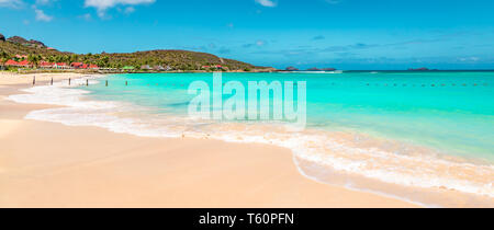 Vue panoramique de la magnifique plage de sable blanc de St Barth Saint Barthelemy (), des Caraïbes Banque D'Images