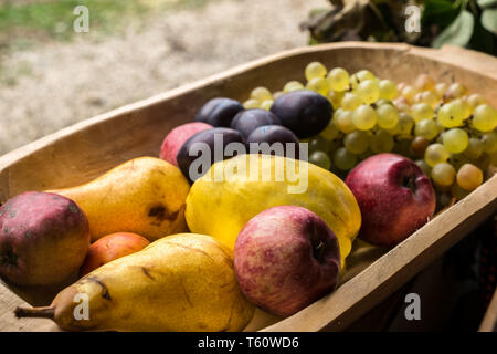 Fruits frais au creux en bois Banque D'Images