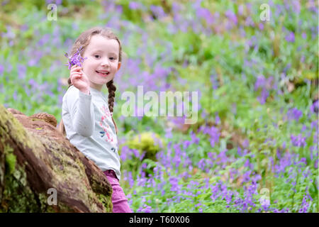 Young Girl picking bluebell flowers à l'extérieur en bois forêt printemps été Banque D'Images