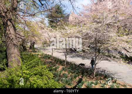 Les personnes bénéficiant d'une journée de printemps sur l'allée cavalière dans Central Park, NYC, USA Banque D'Images
