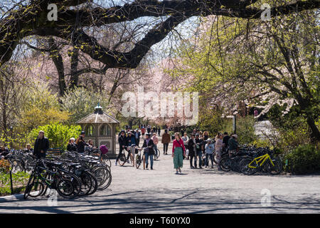 Les personnes bénéficiant d'une journée de printemps sur l'allée cavalière dans Central Park, NYC, USA Banque D'Images