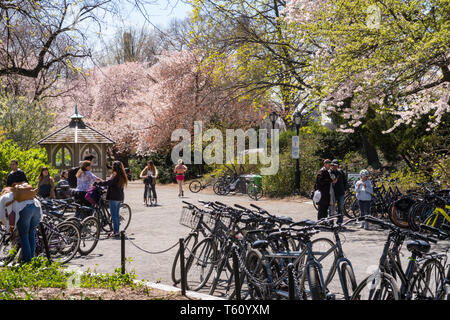 Les personnes bénéficiant d'une journée de printemps sur l'allée cavalière dans Central Park, NYC, USA Banque D'Images