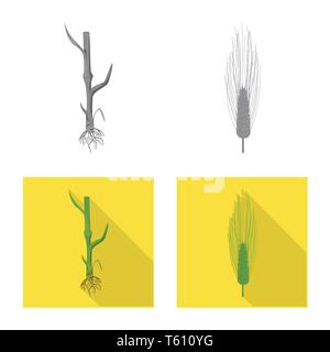 L'orge,tige,root,sols,hiver,printemps,graines,spike,cultiver le blé dur,Culture,randonnée,vert,croissance,feuilles,or,agriculture,agriculture,seigle,plantes,blé,maïs,grain,récolte,ferme,,champ,set,icône,,illustration,collection,isolé,design,graphisme,élément,signe, vecteurs vecteur , Illustration de Vecteur